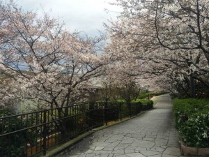 20140330
